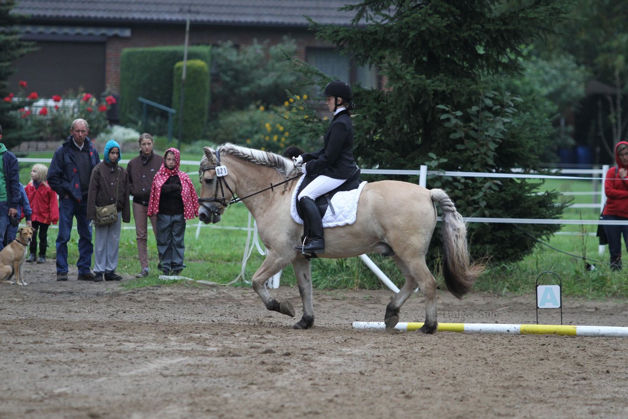 Bild 445 - WBO-Turnier am 18.9.11